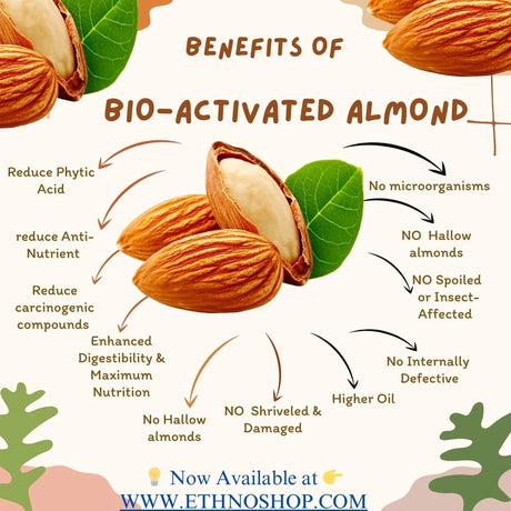 Bio-Activated Nuts & Seeds